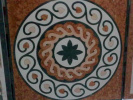 Poza