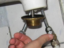 Poza