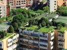 Poza
