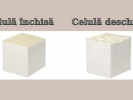 Poza