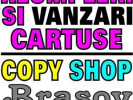 Poza