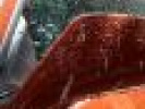 Poza
