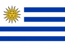 Poza