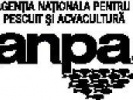 Poza