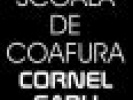 Poza