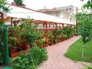 Poza