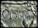 Poza