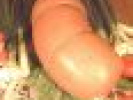 Poza