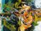 Poza