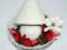 Poza