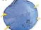 Poza