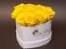 Poza