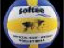 Poza