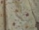 Poza