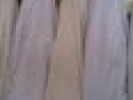 Poza