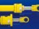 Poza