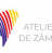 Poza