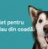Poza