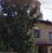 Poza