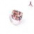 Poza
