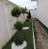 Poza