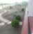Poza