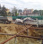 Poza