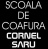 Poza