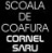 Poza